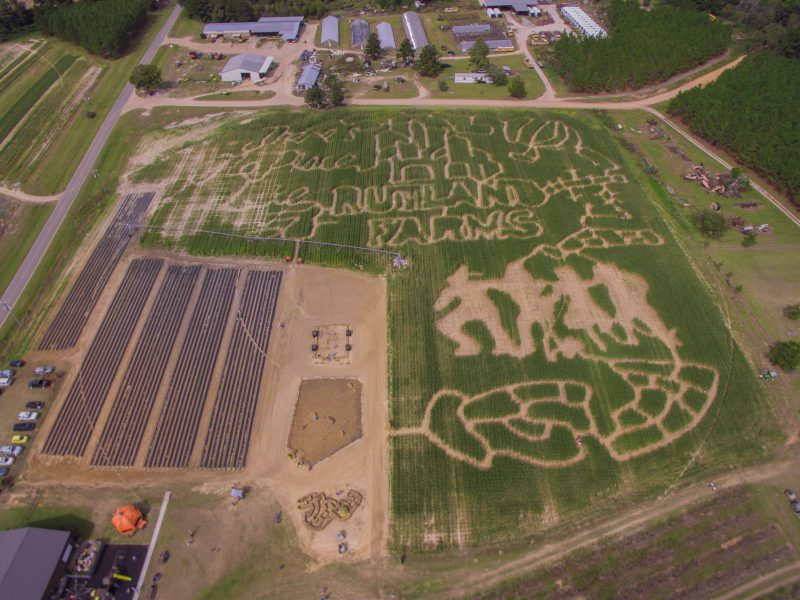 The Market at Rutland Farms Fall