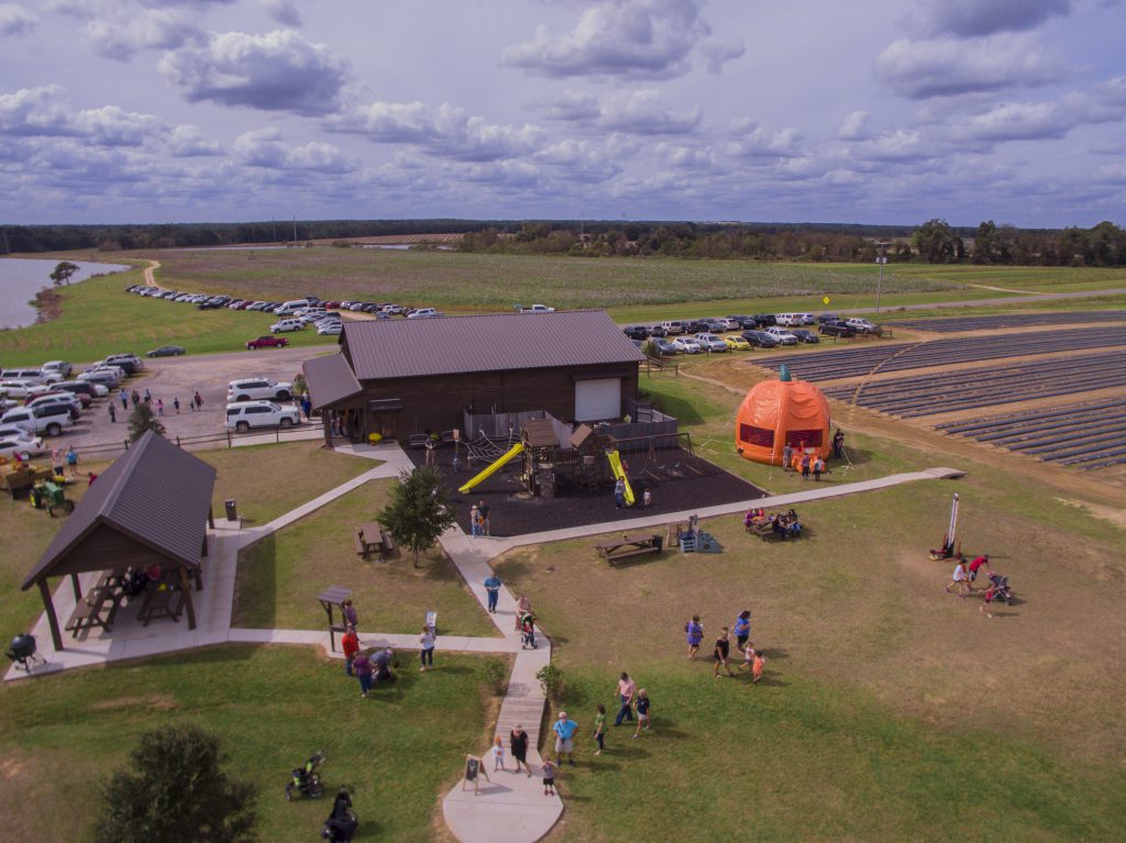 The Market at Rutland Farms Fall
