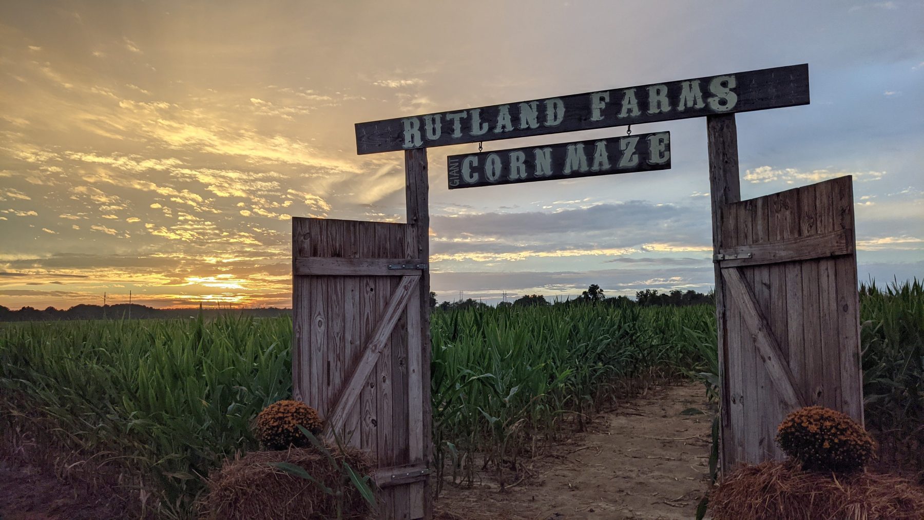 Georgia's Largest Corn Maze