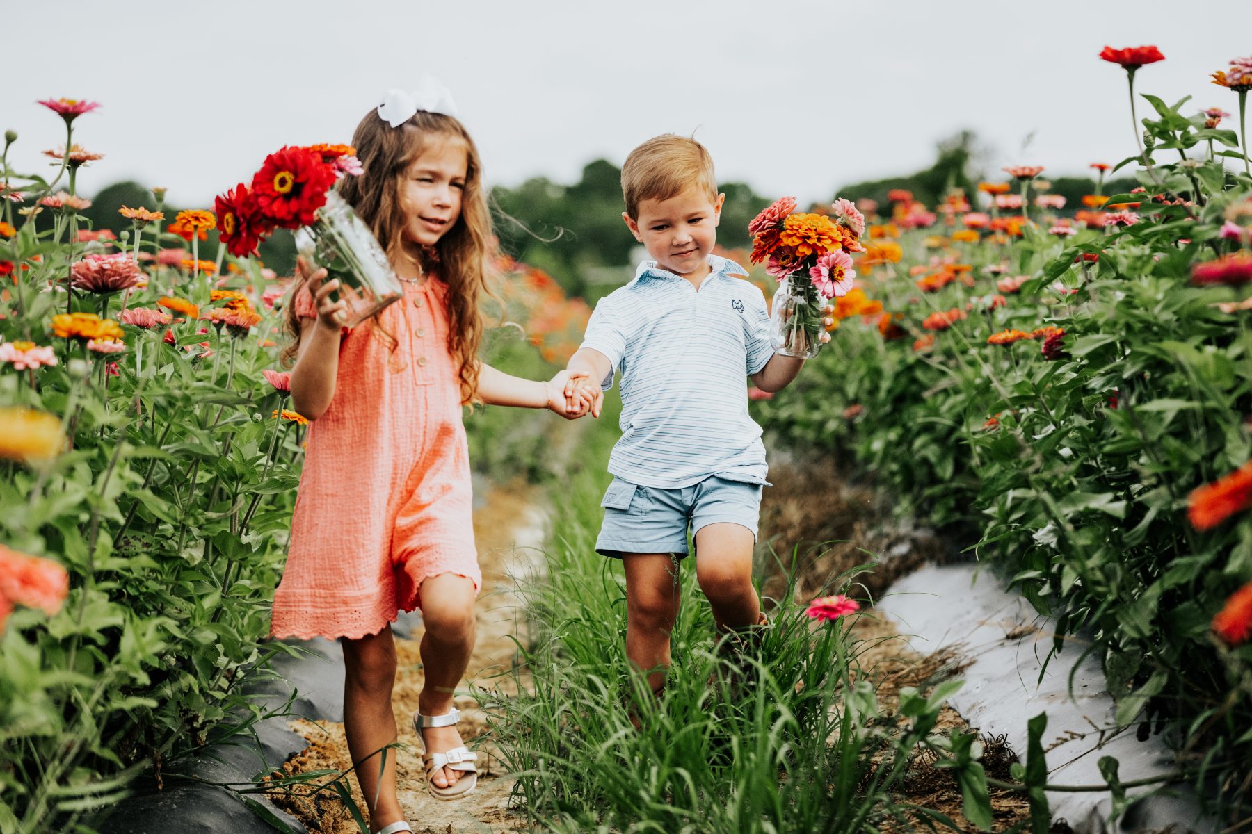Flower Picking